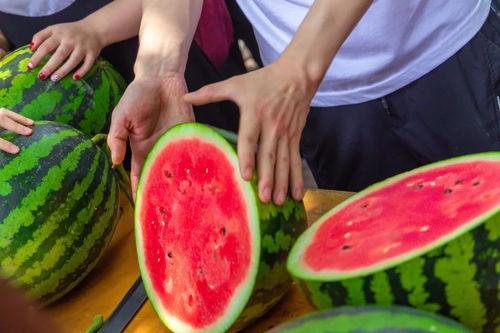 吃免费瓜,共享甜蜜，品味生活  第1张